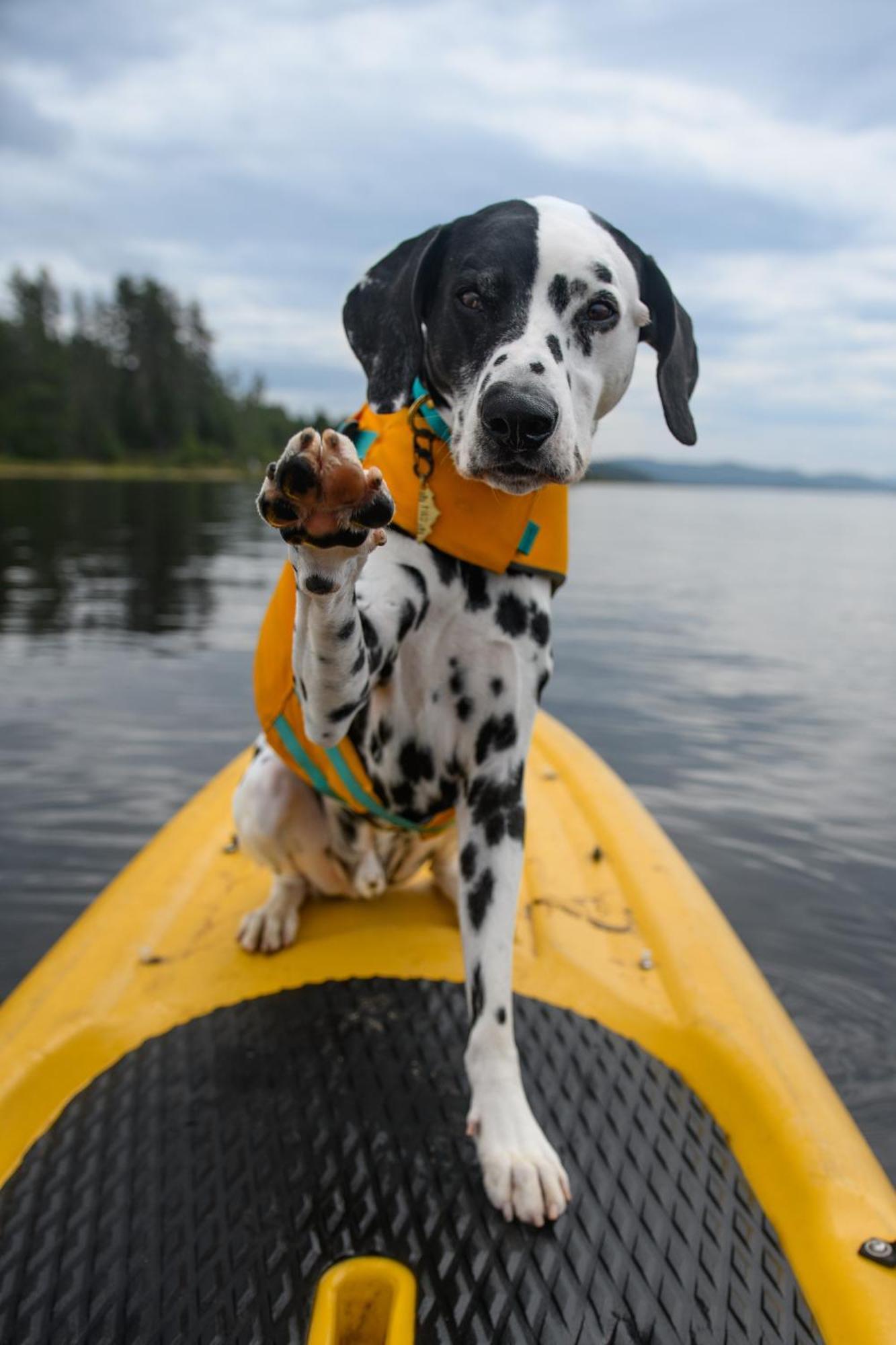 Auberge Du Lac Taureau Сен-Мишель-де-Сен Экстерьер фото